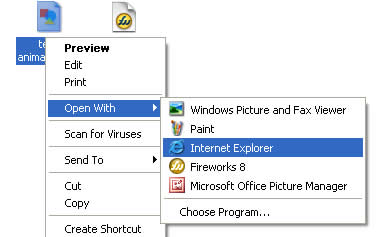 Open with Internet Explorer
